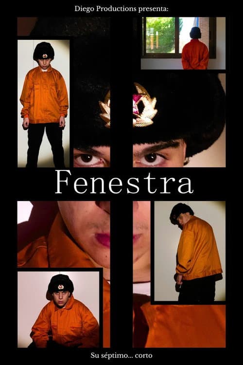 Fenestra poster