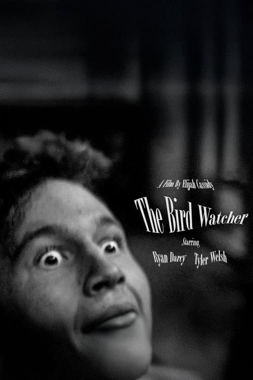 The Bird Watcher poster