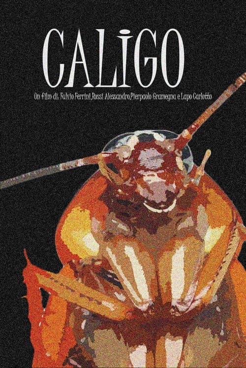Caligo poster