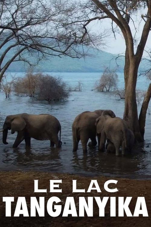 Le lac Tanganyika, la source de vie de l'Afrique poster