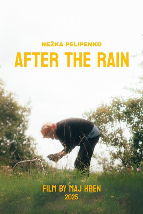 After The Rain poster