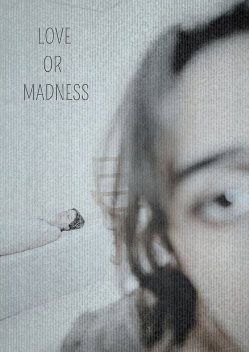 LOVE OR MADNESS poster