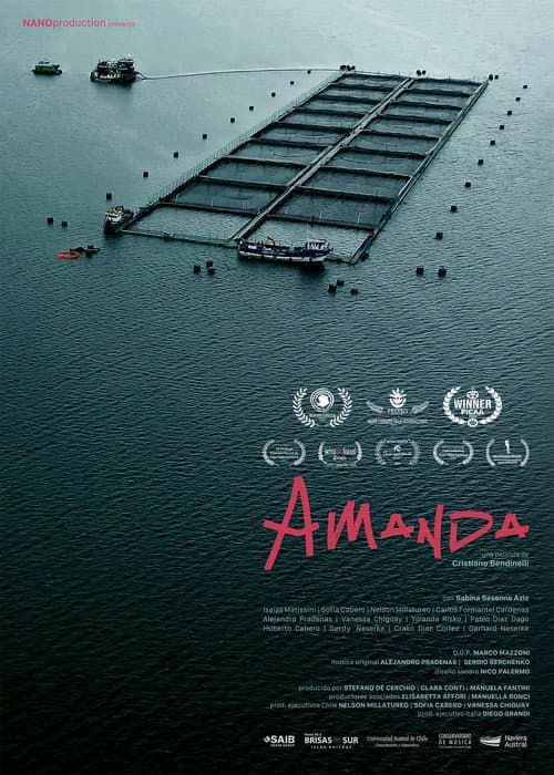 Amanda poster