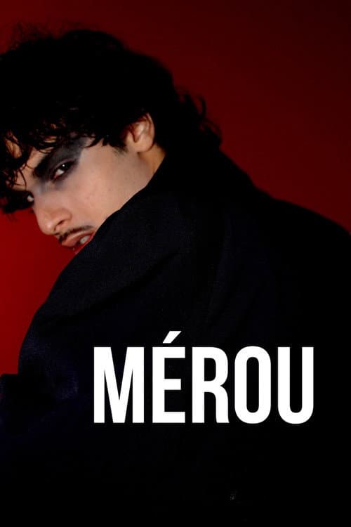 Mérou poster
