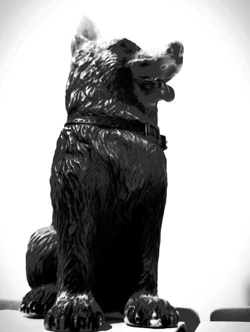 The Dog of Sarandi Alley poster