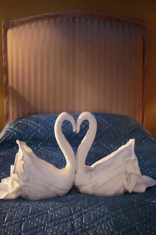 Swan Song poster
