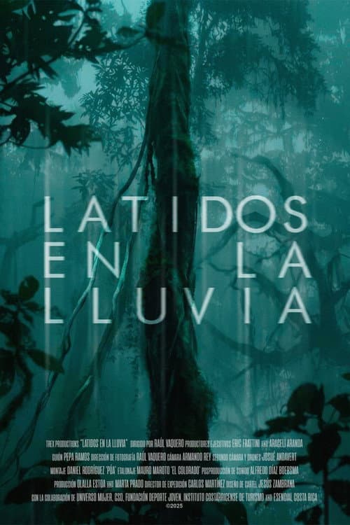 Latidos en la lluvia poster