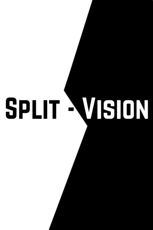Split-Vision poster