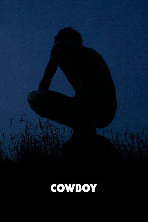 Cowboy poster