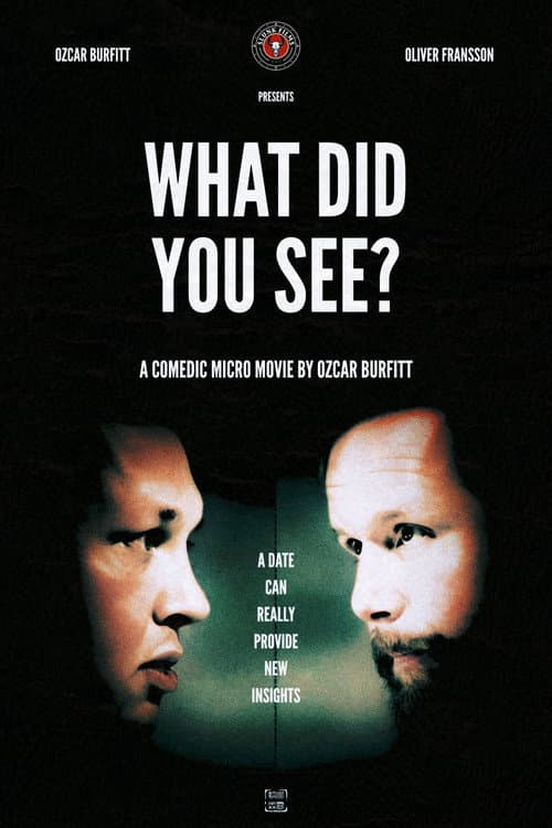 What Did You See? poster