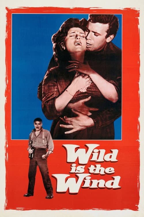 Wild Is the Wind poster