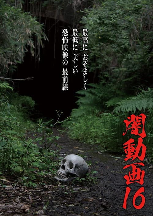 Tokyo Videos of Horror 16 poster