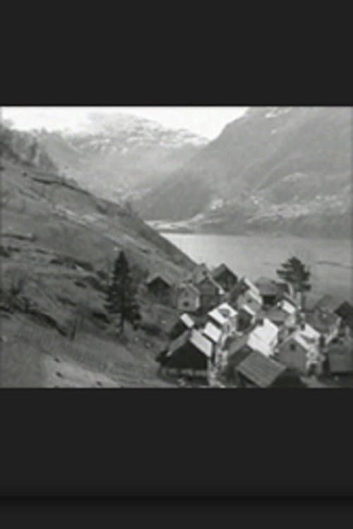 Havråfilmen poster