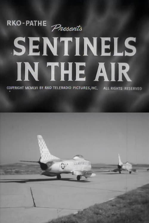 Sentinels in the Air poster