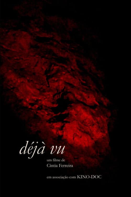 déjà vu poster