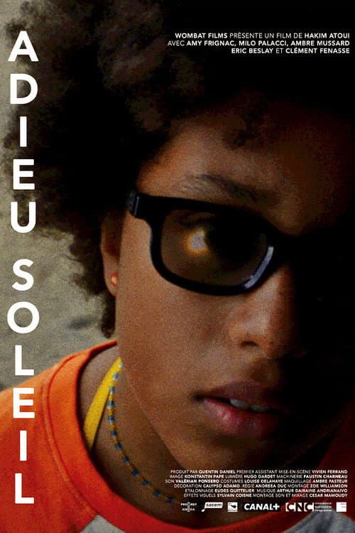 Goodbye Sun poster