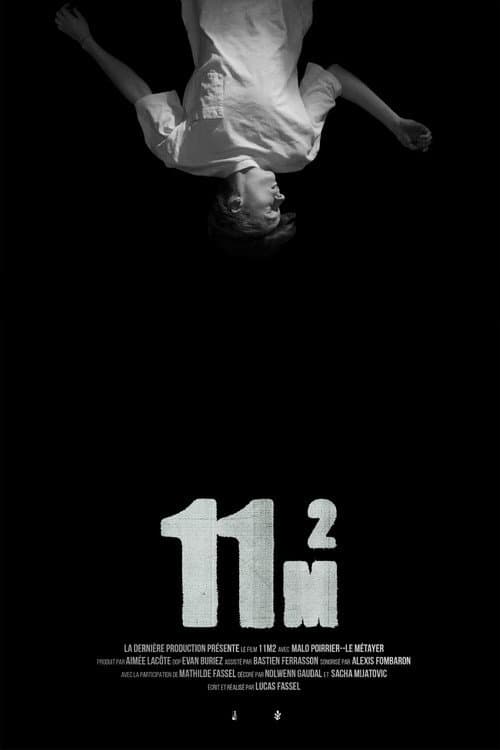 11m2 poster