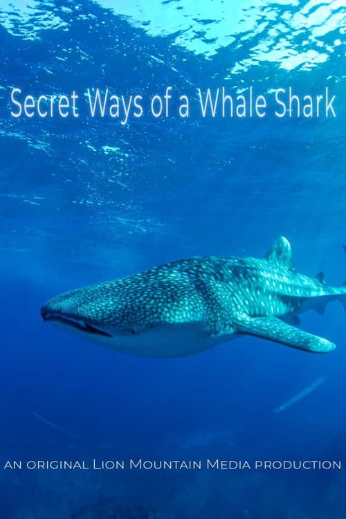 Le long voyage d'un requin-baleine poster