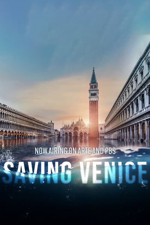 Saving Venice poster
