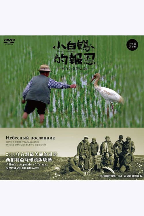 Heavenly Messenger poster