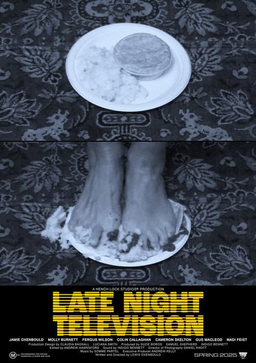 Late Night Television poster